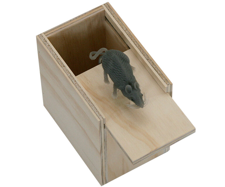 Surprise Box Mouse Amish Crafted Furniture