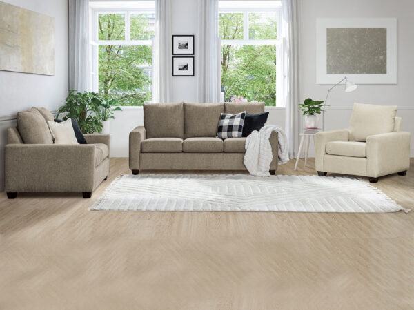 Dreamland Collection