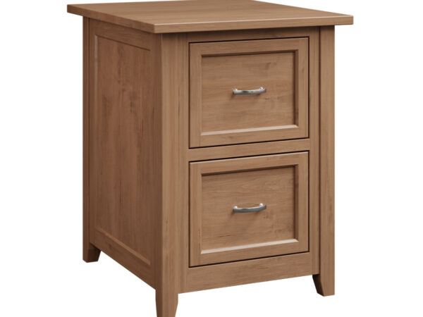 Premier 2 Drawer File