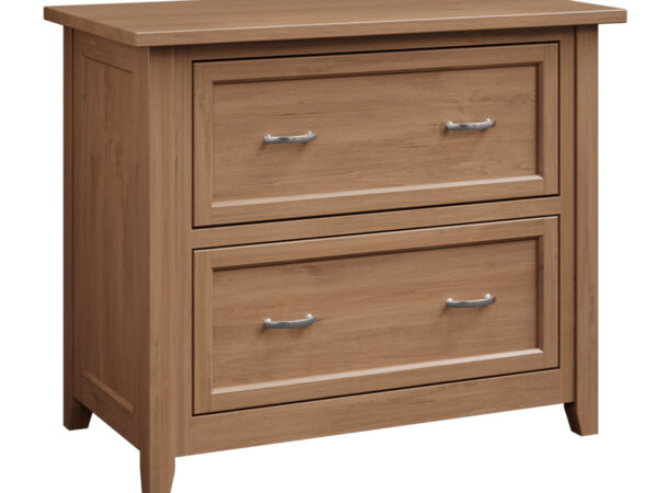 Premier Lateral File