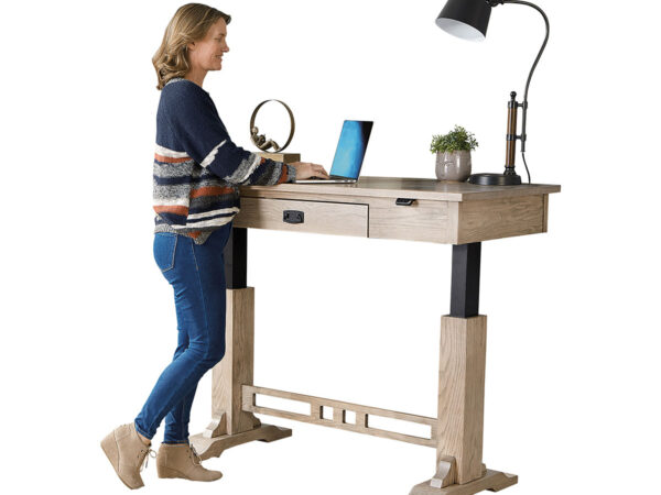 Craftsman Electric Sit To Stand Writer's Desk