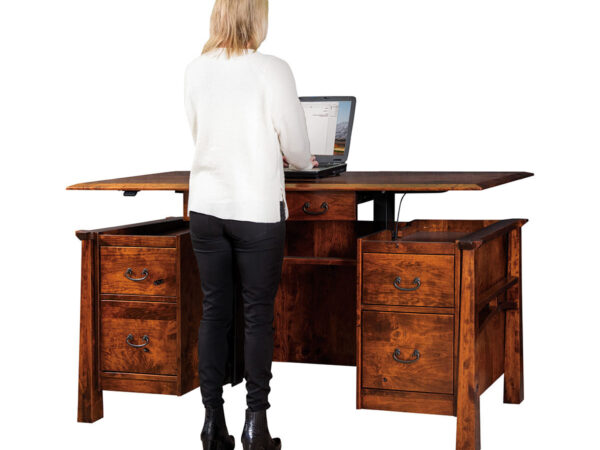 Artesa Sit to Stand Curved Top Desk