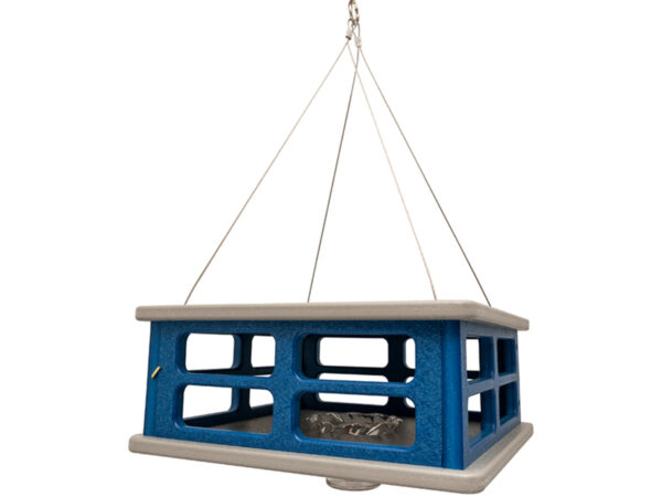 Blue Bird Feeder