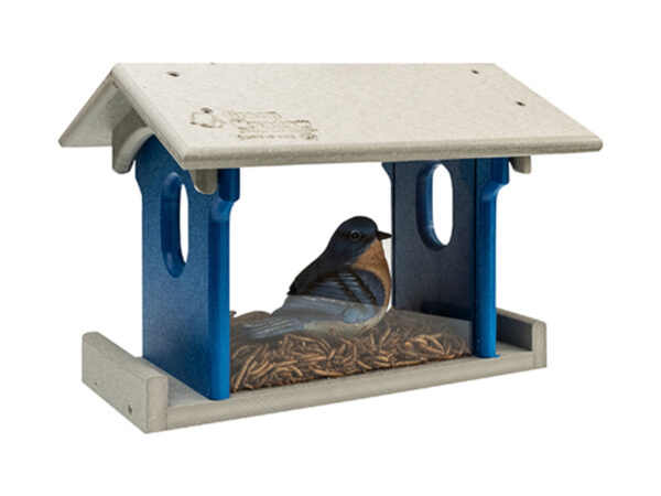 Blue Bird Feeder