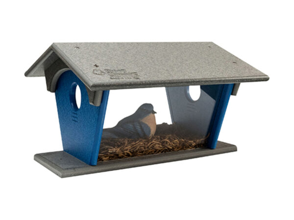 Blue Bird Feeder