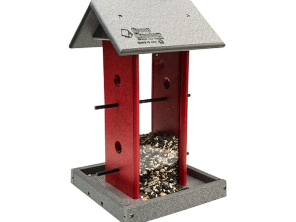 Song Bird Feeder